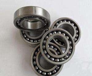 Quality 306TN-Z Bearing